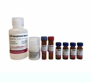 FAM FLICA®半胱天冬酶-1（WEHD）检测试剂盒 FAM FLICA® Caspase-1 (WEHD) Assay Kit